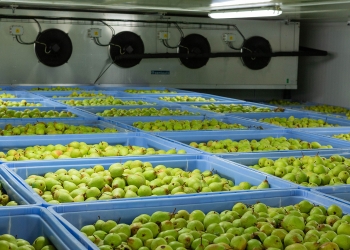 هوشمندسازی سردخانه میوه ویژه استاندارد جهادکشاورزی