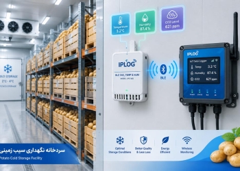 نگهداری سیبزمینی در سردخانه؛ دما، رطوبت، تهویه و کنترل CO₂